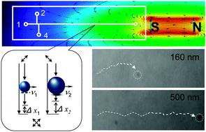 3. Size-dependent magnetophoresis of native single super-paramagneticnanoparticles in a microchip Peng Zhang, Sangyoon Park and Seong Ho Kang Chem. Commun.