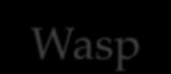 Wasp-12b