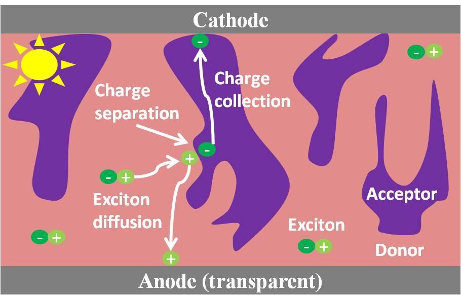 dissociation takes place. However, all of the excitons are not succeed to become free charge carriers due to limited exciton diffusion length (10 nm - 20 nm) [14].