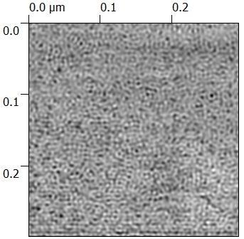 4.3 FMM image of P3HT/PCBM blend after thermal annealing at 140 C for 15 min. 4.