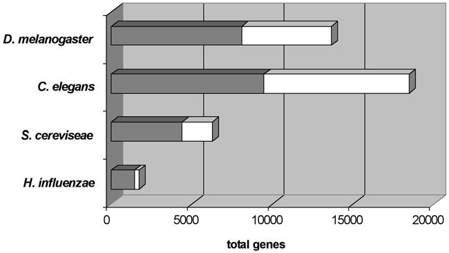 The Proteome 21 Fig. 3. Predicted protein products of genes from H. influenzae (1,709 genes), S. cerevisiae (6,241 genes), C. elegans (18,424 genes), and D. melanogaster (13,601 genes).