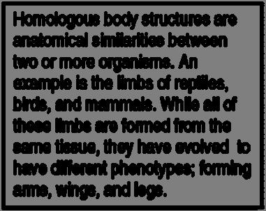 14. The given excerpt suggests that all four-limbed animals are descended from a common four-limbed ancestor.