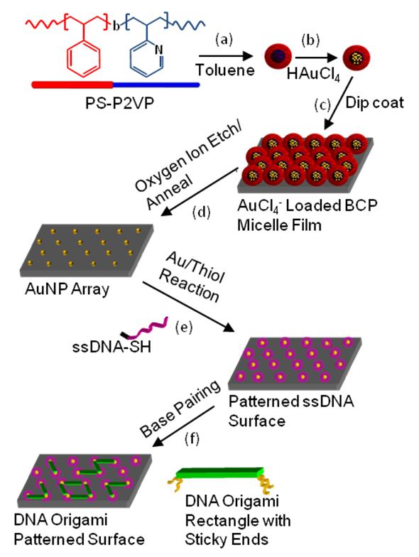 Figure 2.1. Process schematic showing DNA origami attachment using BCP micelle patterning. (a) Polystyrene-b-poly-2-vinylpyridine (PS-P2VP) micelles are formed in a toluene solution.