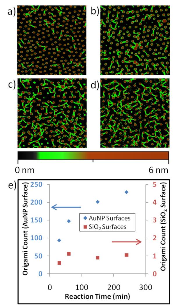 Figure 2.3. a)-d) Tapping mode AFM images of DNA origami on patterned complementary ssdna surfaces. Reactions were carried out for 30, 60, 150, and 240 minutes for a), b), c), and d) respectively.