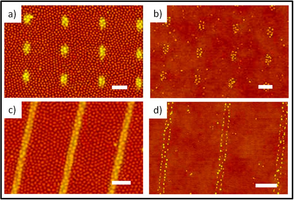 Figure 3.3. Tapping mode AFM images of BCP micelles after deposition on the electron beam patterned surfaces and the resulting nanoparticles formed.