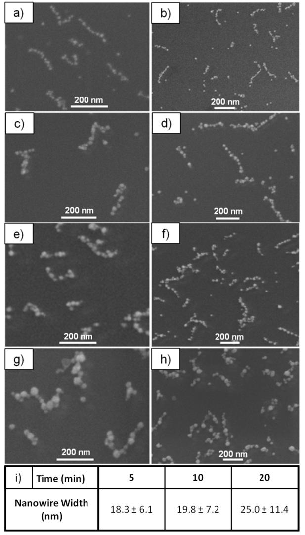 Figure 4.4. SEM images following Au plating of the Au NP seeds on the T DNA origami with a modified commercial plating solution. a-b) DNA origami plated for 1 min. c-d) DNA origami plated for 2 min.