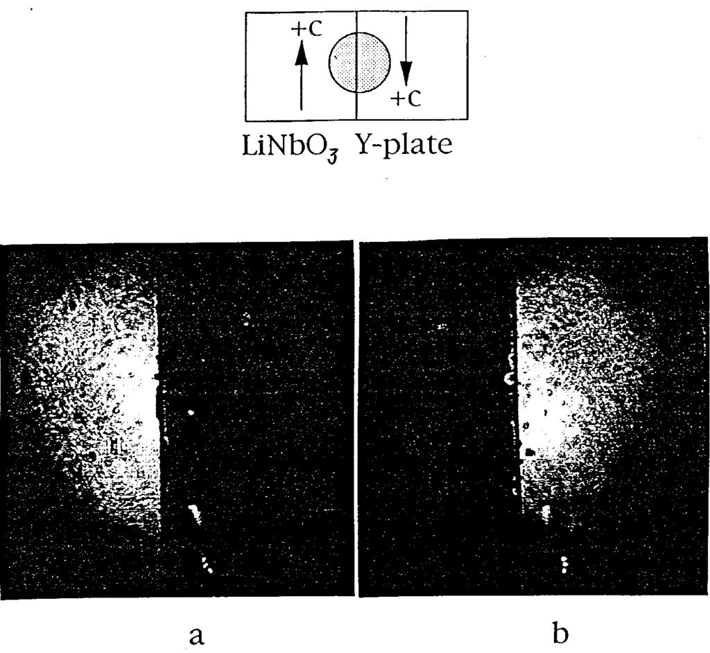Multi-Purpose Nonlinear Optical Microscope. Principle and its Applications to Polar Thin Film Observation 765 Figure 2. SH images of two Y-cut plates of MgO ; LiNbO 3 with opposite z axes.