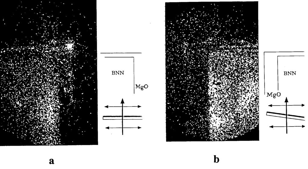 766 Y. Uesu, N. Kato Figure 3. Schematic illustration of the SHGM. Figure 4. SH images of ferroelectric thin film BNN /MgO.