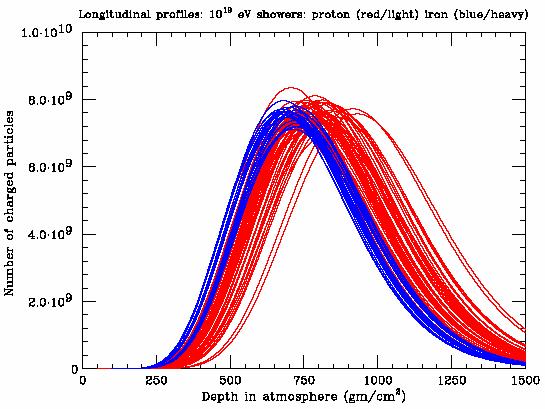 Figure 2.6: Longitudinal profiles of simulated proton (red) and iron (blue) showers with a primary energy of 10 19 ev.