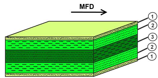 Figure 1.Representative scheme of a layered structure (1) skin/ (2) shell / (3) core, the arrow indicates the MFD.