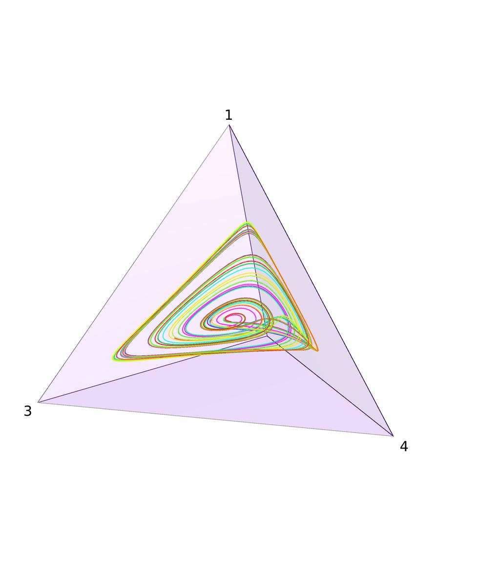 Figure 3: Dynamo 4S output: a chaotic attractor under the replicator dynamic. Evidently, this solution trajectory converges to a chaotic attractor.