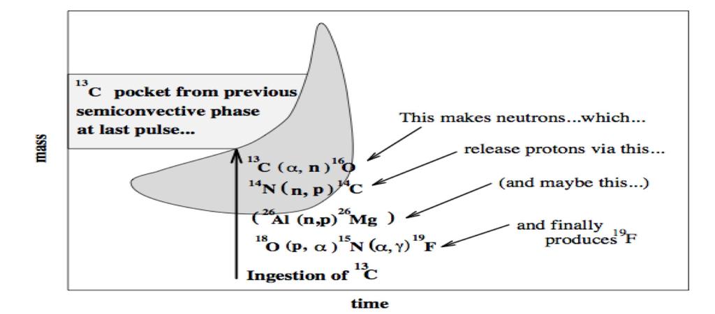 Chapter 1. Astrophysics Motivation 24 Figure 1.12: Schematic of the 19 F production mechanism.