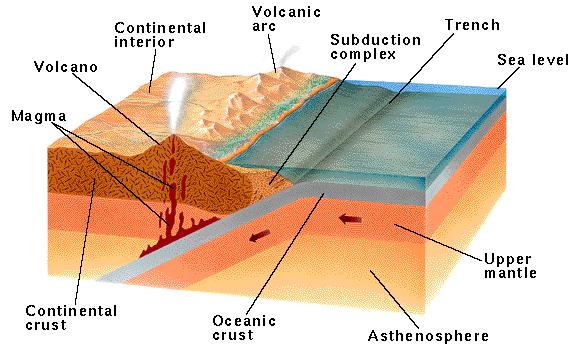 Convergent Subduction (Oceanic-Continental) Plate Boundary Denser oceanic crust subducted beneath