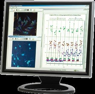 An Integrated Solution Image Analysis Thermo Scientific Cellomics BioApplications BioApplications offer the largest portfolio of out-of-the-box image analysis software.