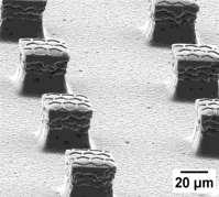 Micropillars Honeycomb lines + Micropillars Nano