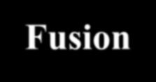 Fusion-Fission is a new reaction mechanism for rare beam production A model [1] for fast calculations of fusion fission fragment cross sections has been developed in LISE ++ [2] based on already