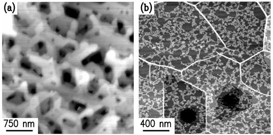 FIG 1. AFM images of graphene on (a) 6H-SiC(0001) and (b) 4H-SiC(0001), prepared by annealing in vacuum at 1320 C for (a) 10 min, and (b) 40 min. The resulting graphene coverages are 1.9 and 3.