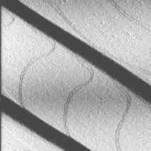 (b) 15 µm DM-AFM close-up scan (view as if illuminated from the left) of a region in the vicinity of the area