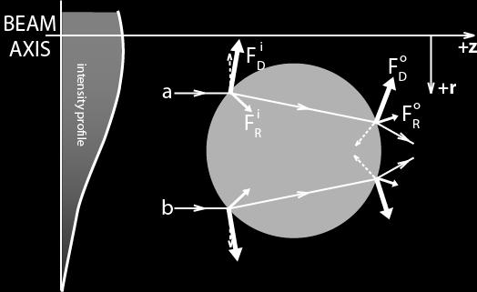 A pair of rays a, and b, hit a sphere of higher index of refraction than the surrounding medium as seen in Figure 2. Consider ray a.