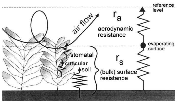 of air flowing over water or vegetative surface r a = aerodynamic resistance (s m -1 ) u z = is wind speed (m s -1 )