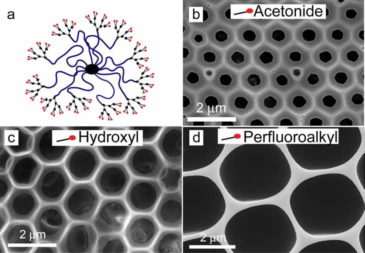 showed highly ordered monolayers of pores with extremely thin walls this is a new porous morphology which has never been reported (Figure 3c).