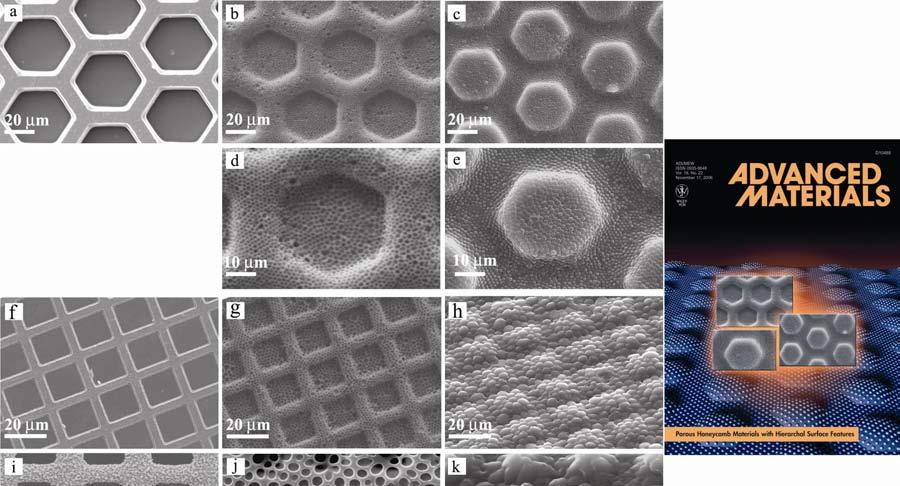 are used as a precursor for honeycomb materials made via the BF technique and TEM grids are used as the non-planar substrate (Figures 4a, 4f, and 4i).