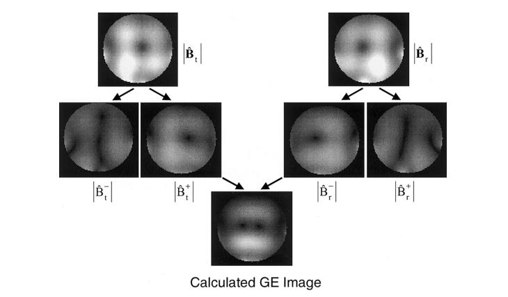 Inhomogeneities Qu est ce qu une of B1 fields image?