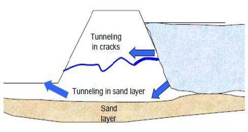 Example of Dam Failure Post Failure Investigation Seepage piping and internal erosion Seepage