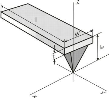 Cantilever deformations under the influence of lateral forces To investigate friction, the Lateral Force Microscopy (LFM) is used.