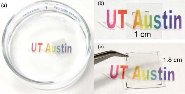 46 Figure 4. (a) A 1 cm by 1 cm transparent graphene film floating on water. (b) A 1 cm by 1 cm graphene film transferred on a 1.8 cm by 1.8 cm cover glass. (c) A 1.8 cm by 1.8 cm graphene film stuck on a PDMS film.