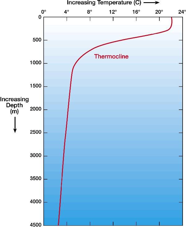 Temperature cont l Thermocline- a distinct zonation of waters based on temperature.