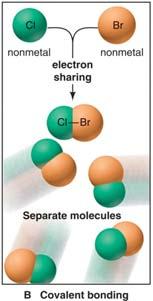 Types of Bonding: Covalent Compounds Covalent bonding involves the SHARING of
