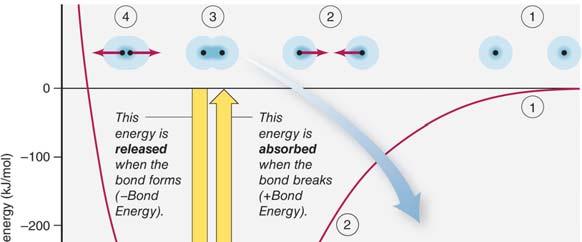 Nonmetal atoms have relatively high ionization energies, so it is difficult to