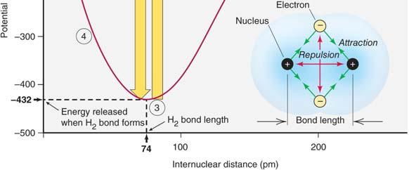 potential energy for the atoms to share valence electrons Potential energy lowest