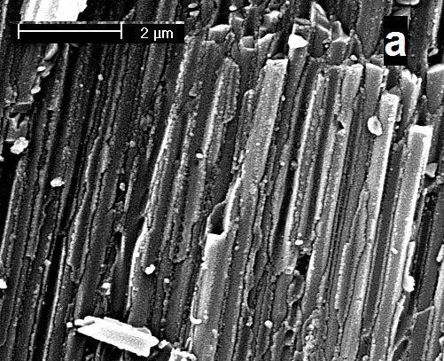 Figure 3: (a) SEM image ZnO /Zn(OH) 2 nanowires inside the channels of AAM template obtained by displacement deposition; (b) SEM image, taken after dissolution of the AAM template, of CeO 2 /Ce(OH) 3