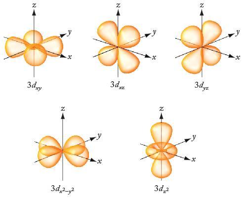 identical lobes on opposite sides of the nucleus, separated by a nodal plane.