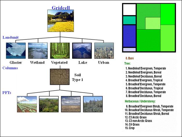 Climate and Ecosystem Models adopt the Concept of Plant Functional Types Too Coarse?; Too Simplistic?; Good Enough and Practical? Do Species/Genera Matter, in Ecosystem Ecology?