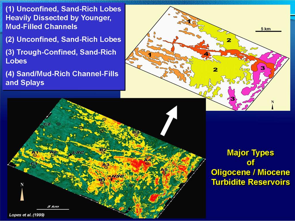 Here there is an example of the variability and complexity of the Campos Basin turbidite reservoirs.