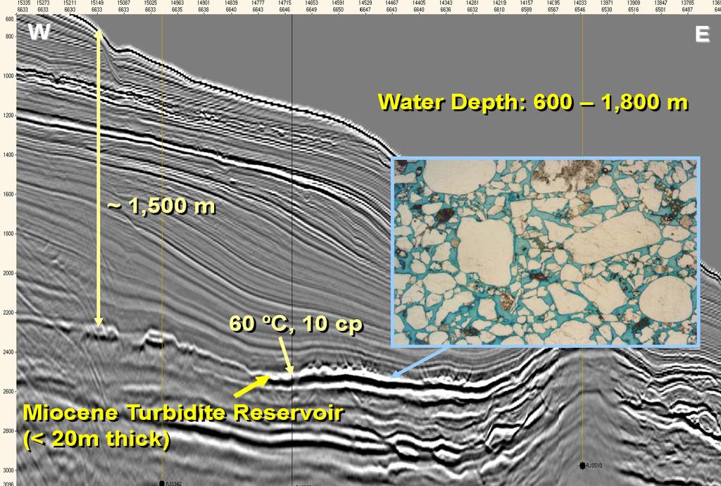 This is typical seismic profile for deep water reservoirs. This white horizon represents a less than 20 m thick, Miocene turbidite reservoir.