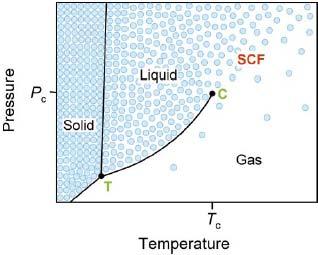 10 Supercritical Carbon Dioxide (scc 2 ) Below critical point - separate liquid and gas phases Near critical point