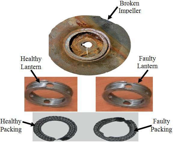 accelerometer which was mounted on the In-Bearing of input shaft of the pump. The signals from the accelerometer were recorded in a data acquisition. Figure3. Broken impeller and faulty seal.