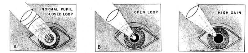 154 CHAPTER 6. TRANSFER FUNCTIONS Example 6.9 (Pupillary Light Reflex Dynamics). Figure 6.7: Light stimulation of the eye. In A the light beam is so large that it always covers the whole pupil.