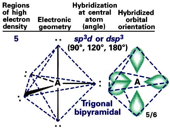 Trigonal Bipyramidal Electronic Geometry: AB 5, AB 4 U, AB 3 U2, and AB 2 U 3 Valence Bond Theory (ybridization) 4s 4p 4d As [Ar] 3d 10 five sp 3 d hybrids 4d Trigonal Bipyramidal Electronic