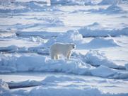 The Arctic - taking a broader view The Arctic is not a