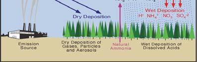 Acid rain affects aquatic species (alters lake habitats, reproductive cycles); forests (changes