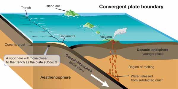 CHAPTER 8: PLATE TECTONICS Convergent boundaries Trenches Why does one plate subduct under another? When oceanic plates collide, one subducts under the other.