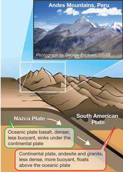 So we can say that older plates tend to subduct under younger plates. trench - a valley in the ocean created where one lithospheric plate subducts under another.