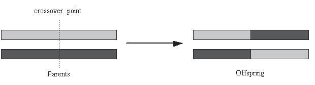 illustrate the operational procedure, one-point crossover mechanism is depicted on Figure 1. A crossover point is randomly set.