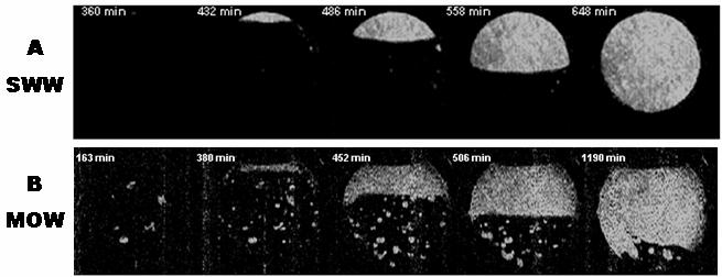 SCA2007-12 11/12 Figure 4. MRI images during oilflood at strongly water-wet (A: top) and moderately oilwet (B: bottom) conditions. Figure 5.