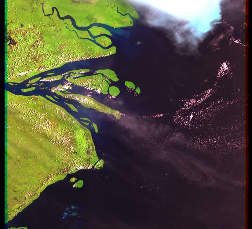 Fly River Delta, Papua New Guinea, Asia IMAGE ACQUIRED MARCH 1, 2001 LANDMASS DRAINED BASIN OF DEPOSITION LAT. 8 40 S, LONG.